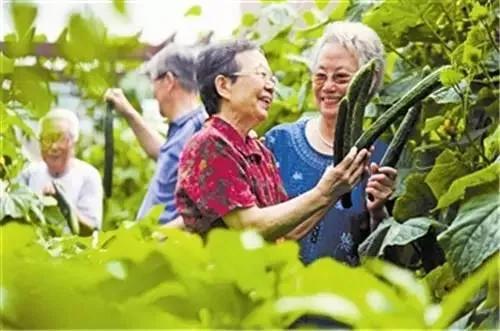 中共中央定调未来趋势：80%人群将迈向田园+养生养老+中医康养新生活！
【原工行