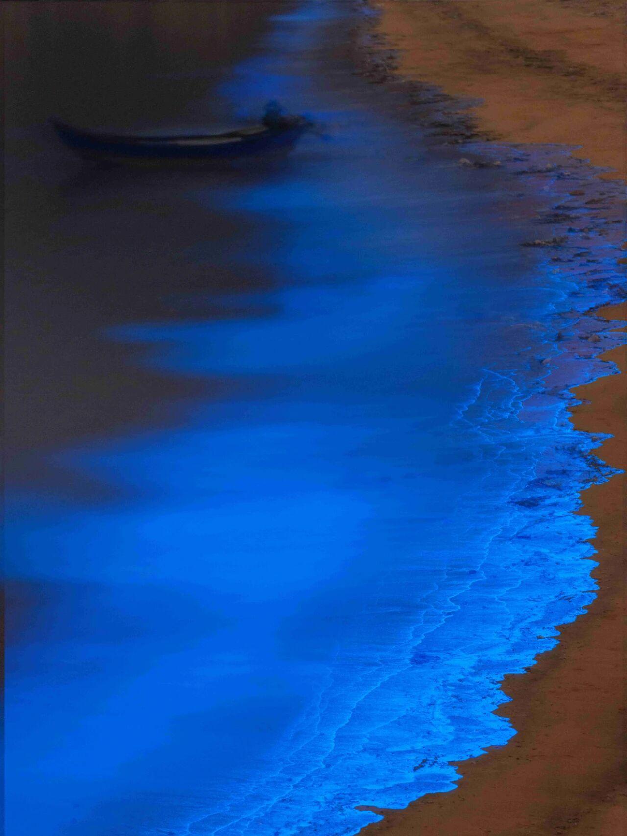 在季风的起点，海岸的尽头，
有一个从风里诞生的岛屿。

风在这里栖息，奔跑，最终