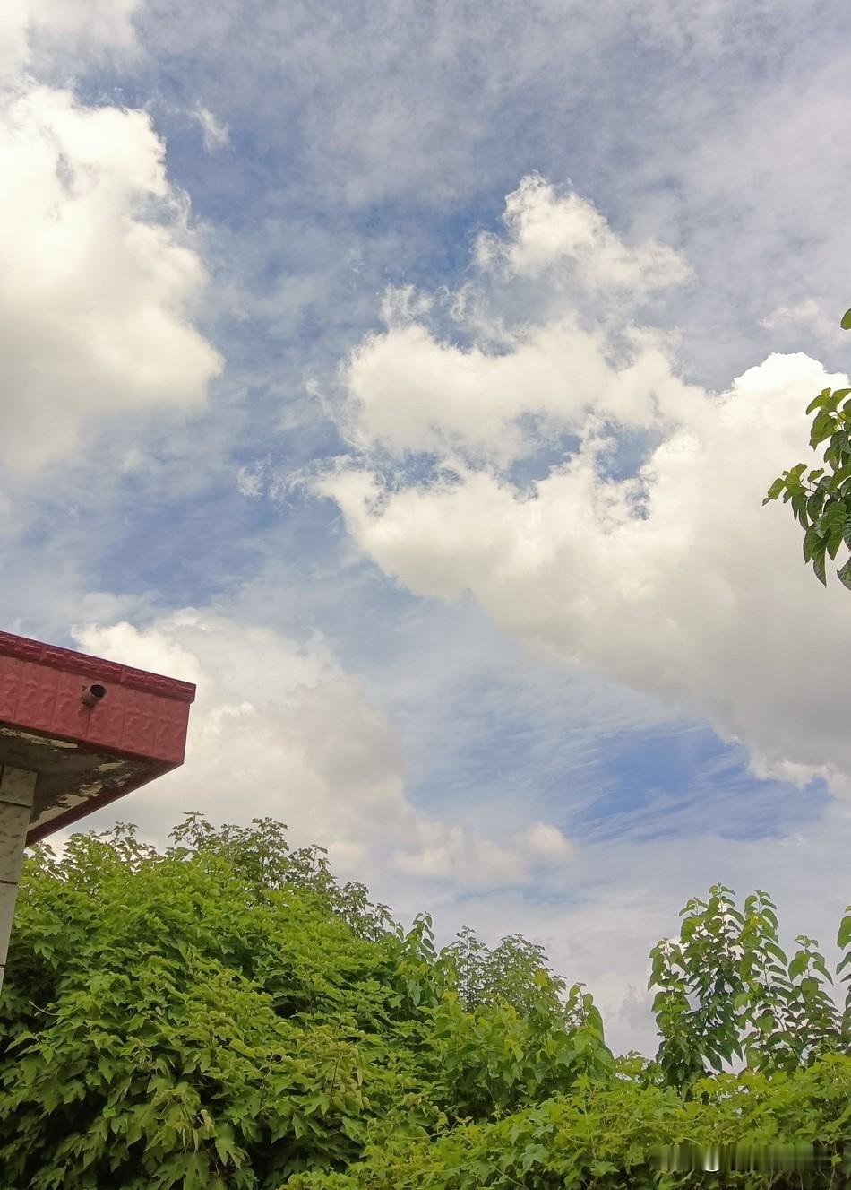 今天我大即墨很是凉快！体感温度27℃。以往汗水浸泡中，今天浑身上下格外的滑溜，心