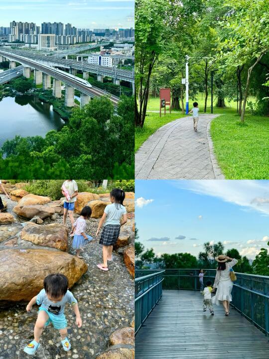 佛山最蕞舒服的亲子徒步路线🌳爬山玩水❗️