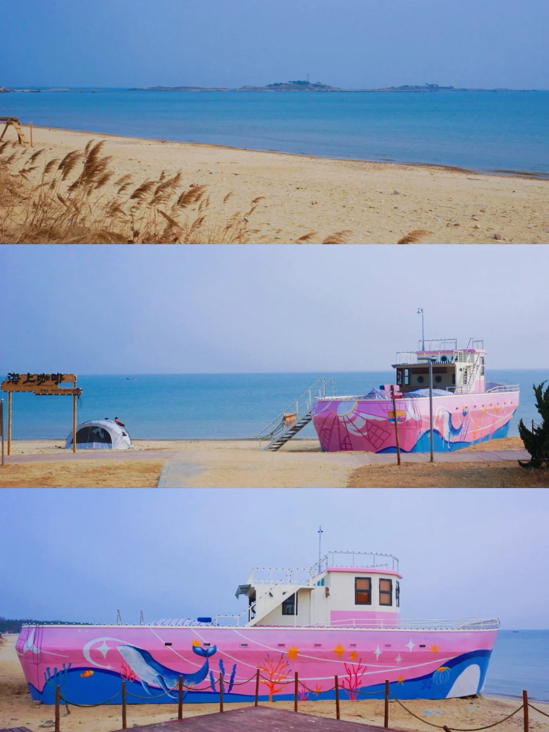 春游记｜青岛惊现巨型粉色浪漫邮轮！附路线图