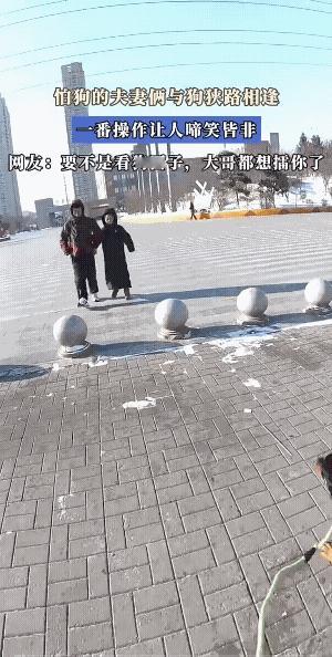 夫妻俩不是一般的怕狗。
狗主人说了一声“坐！”俩人没有一丝犹豫，赶忙坐了下来。