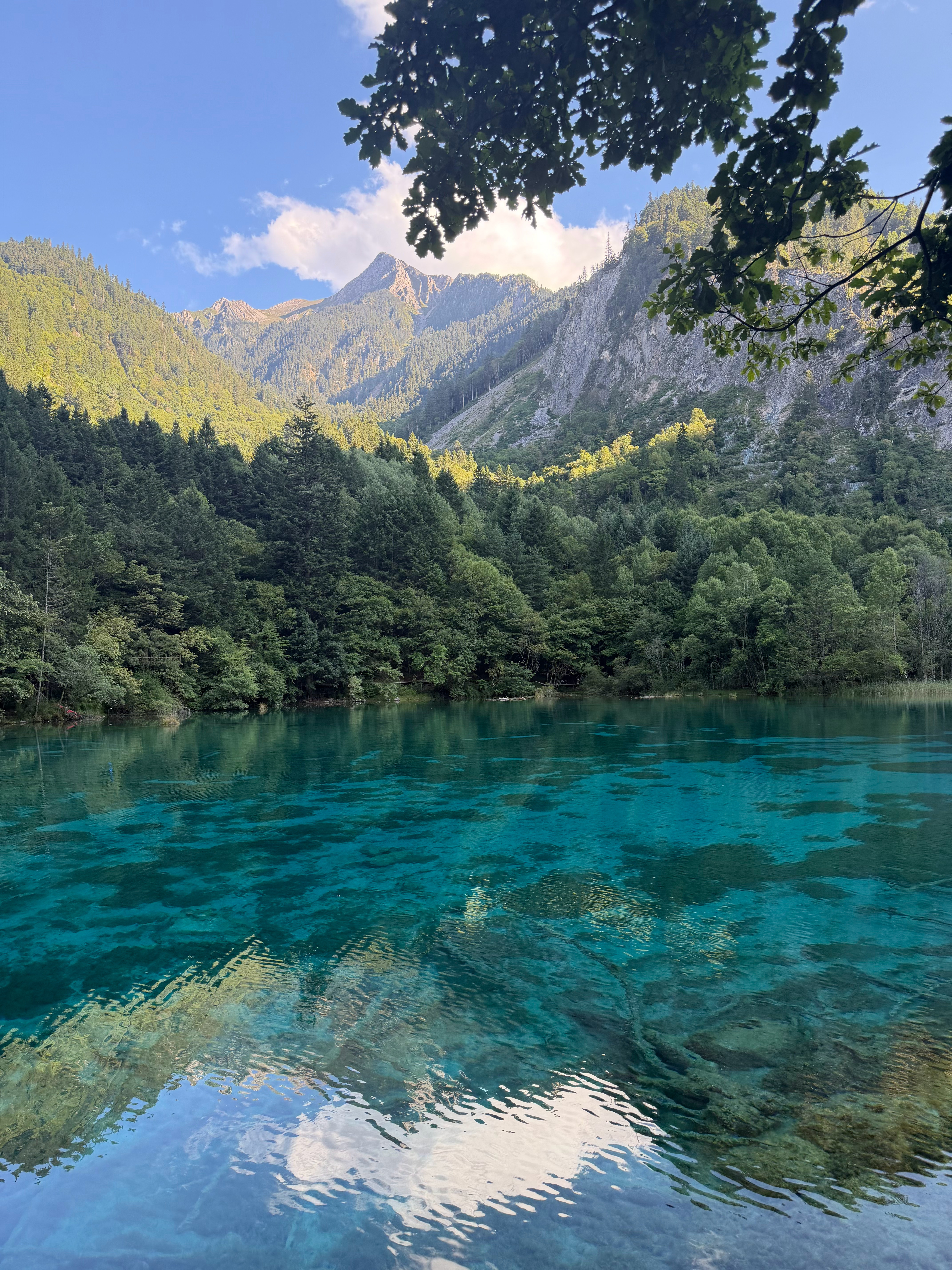 黄景瑜[超话]🐳黄景瑜陈一众 hjy黄景瑜现在就出发 存20260826🐳发