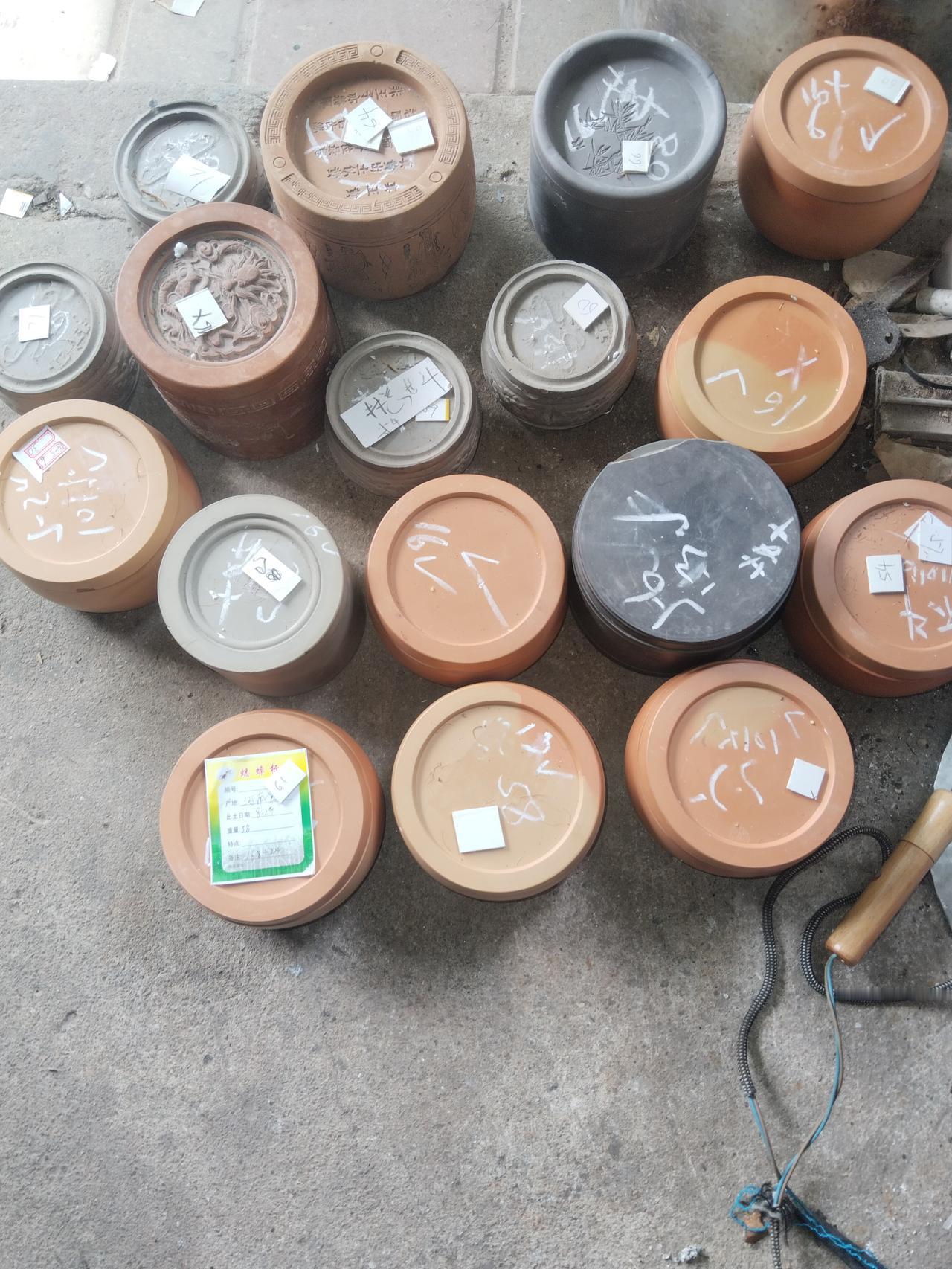 通过人工手段能让蛐蛐呈现出全新的状态，如此一来，斗蛐蛐这项活动完全可以达到从古到