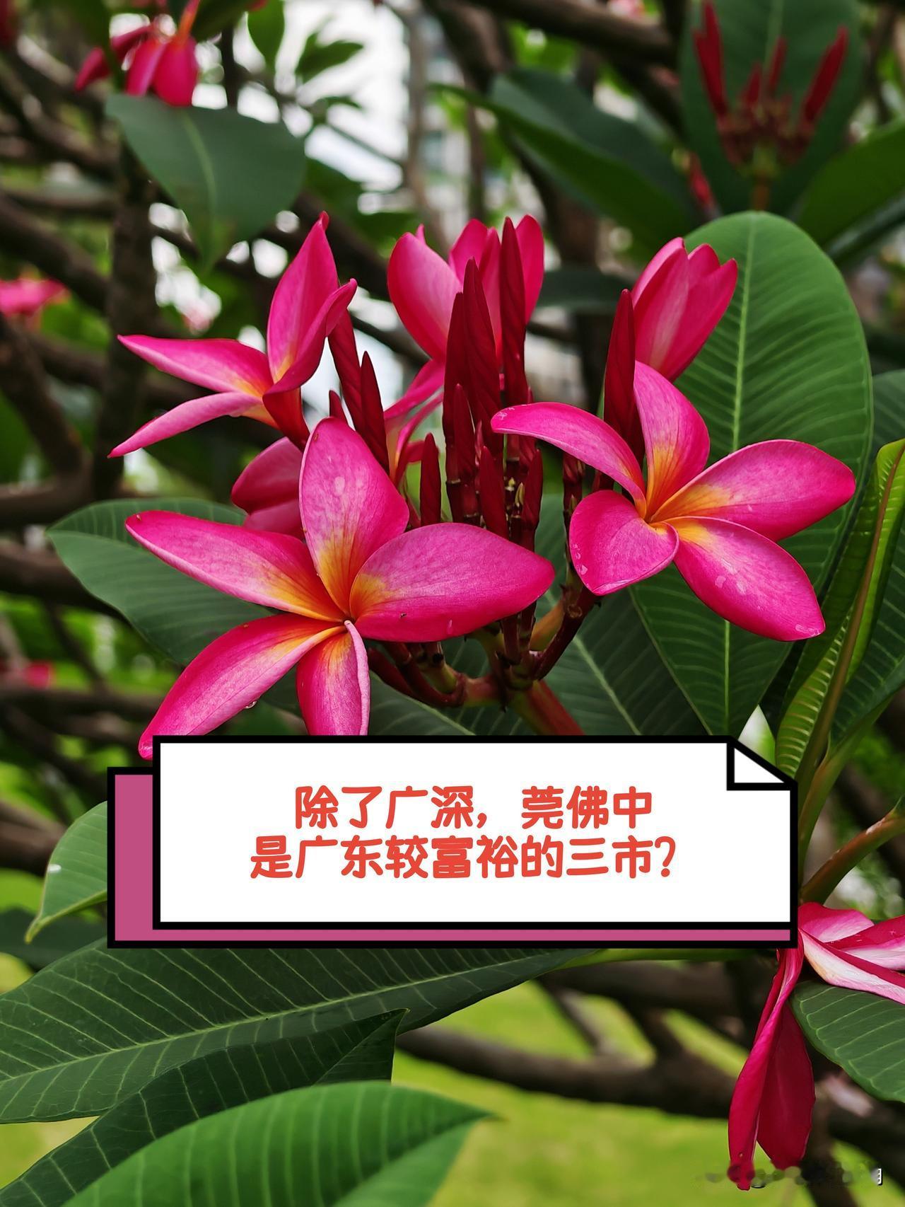 从广东各市2026年1 - 4月社会消费品零售情况来看，除去广州和深圳，广东其他