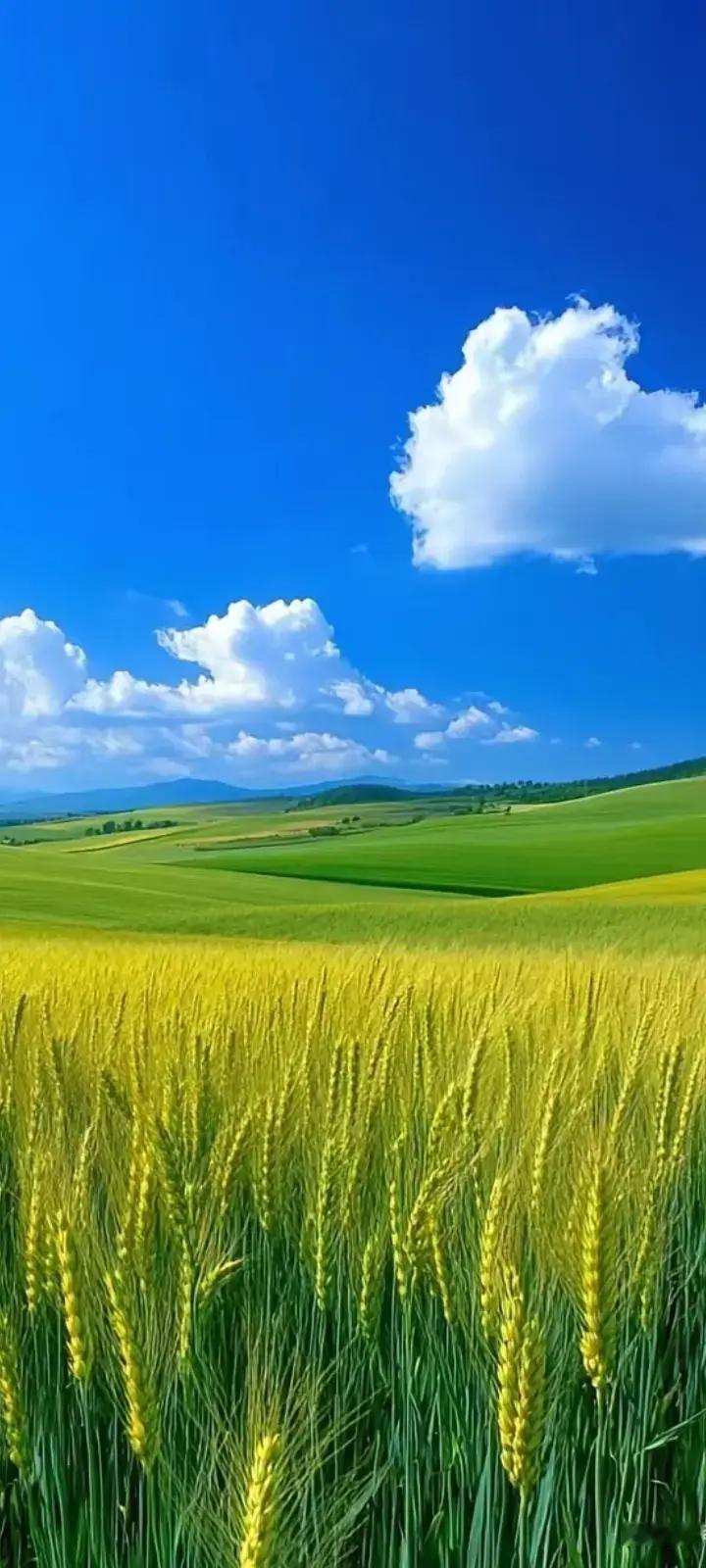 人生没有白走的路，每一步都算数。

这句话听上去很鸡汤，可真到生活里，它却像一把