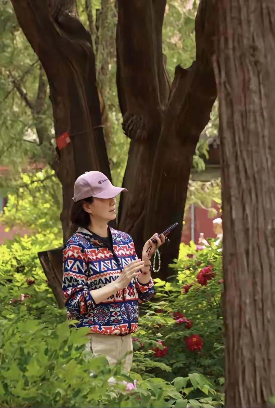 李修平、李瑞英、李梓萌、李红中国新闻主播四大美女[太阳][月亮]