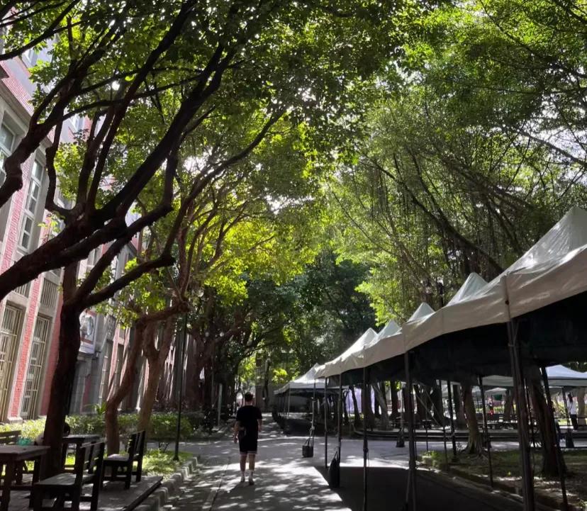 独自来台湾上大学在被子里偷偷哭
我是妈宝女从小到大从来没离开过家
以前去学校生活