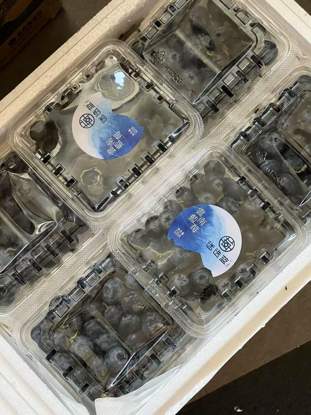 今年绝对蓝莓🫐自由了！！！先是抚松同学的，接着峰哥的，然后斌哥又给安排了二道白