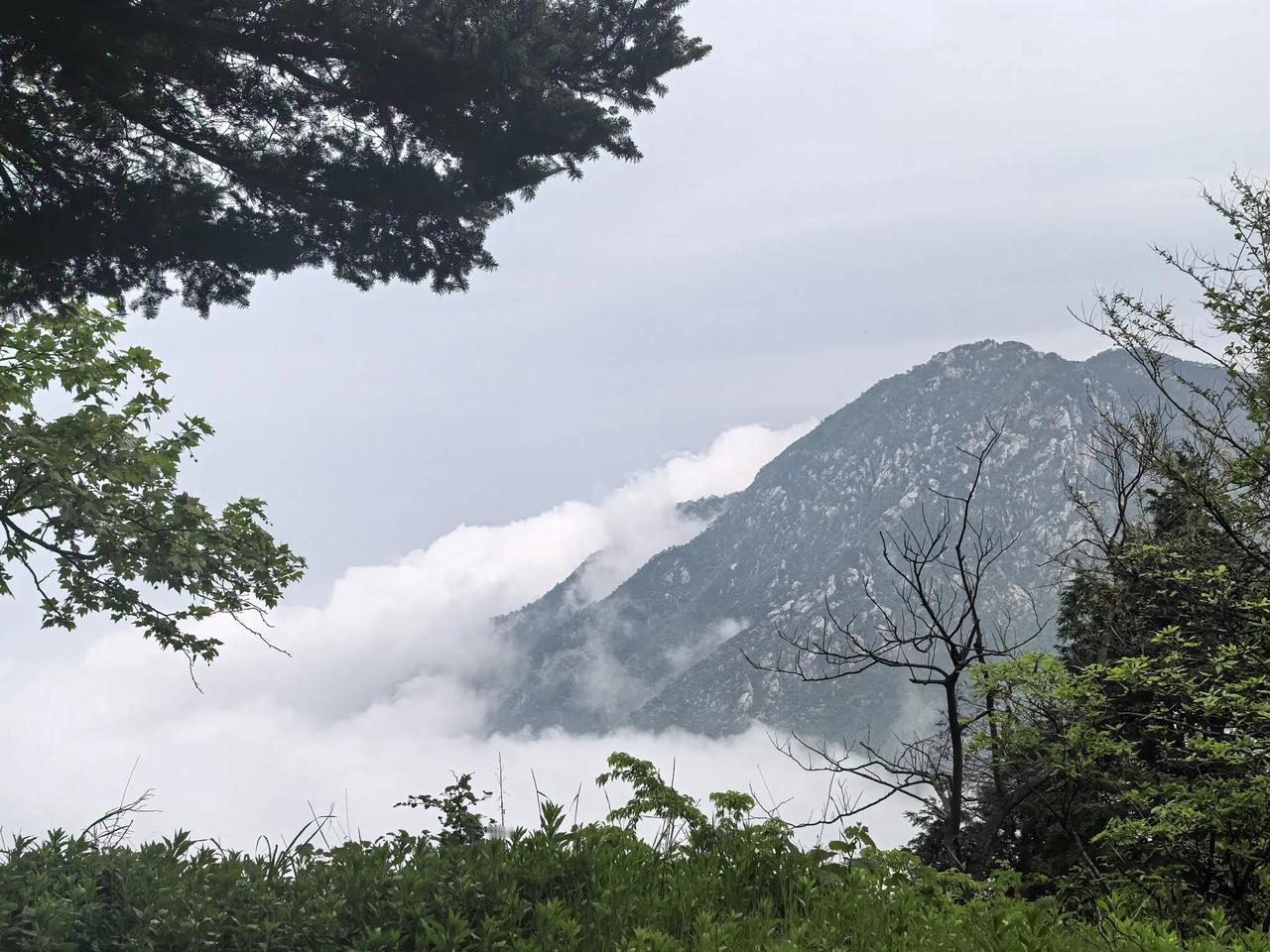 退休老人自驾游出行最好避开节日长假、免高速费的时间段。理由有三：
一，节日长假，
