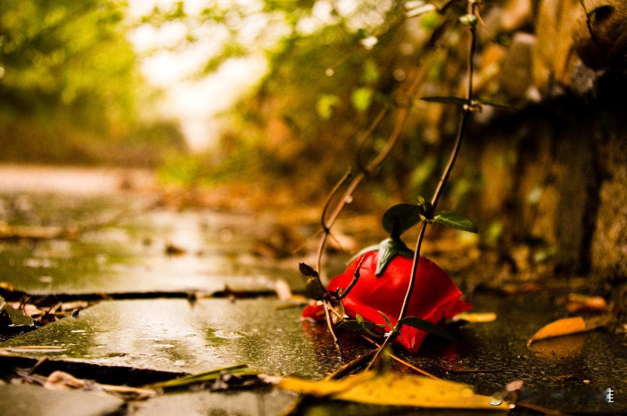 有暴力倾向，有时不是脾气问题。
而是有些自毁倾向。

即，把生活摧毁，把自己的世