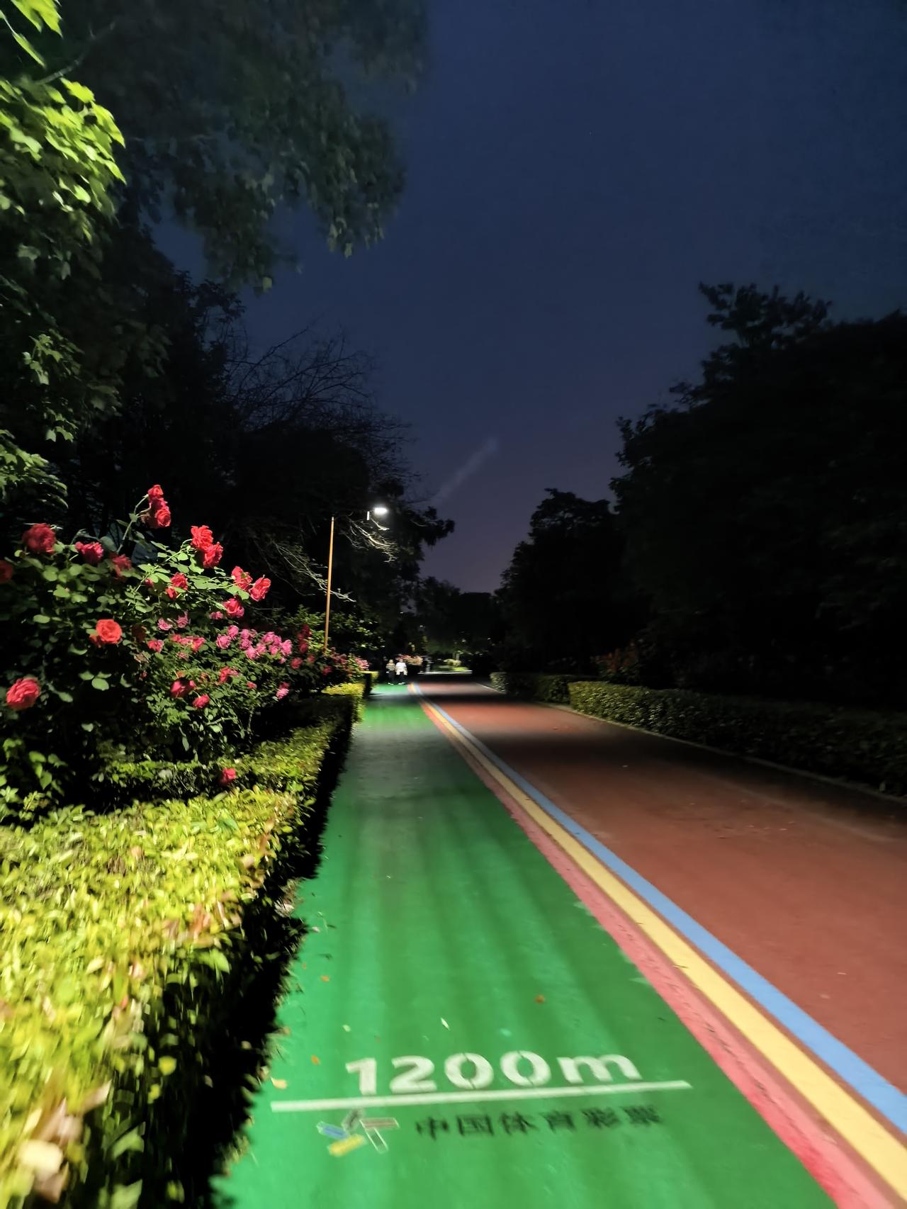 刚才，陪儿子去花博公园夜跑去了。

其实，我一直习惯晨跑。五一假期，为了迁就儿子