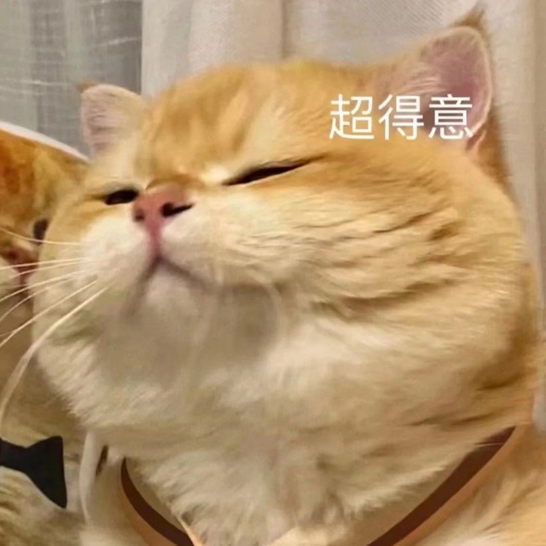 #日常的路人a# 今天的贫穷又升级了。朋友问我有啥安排么？我：要去健身房。朋友：