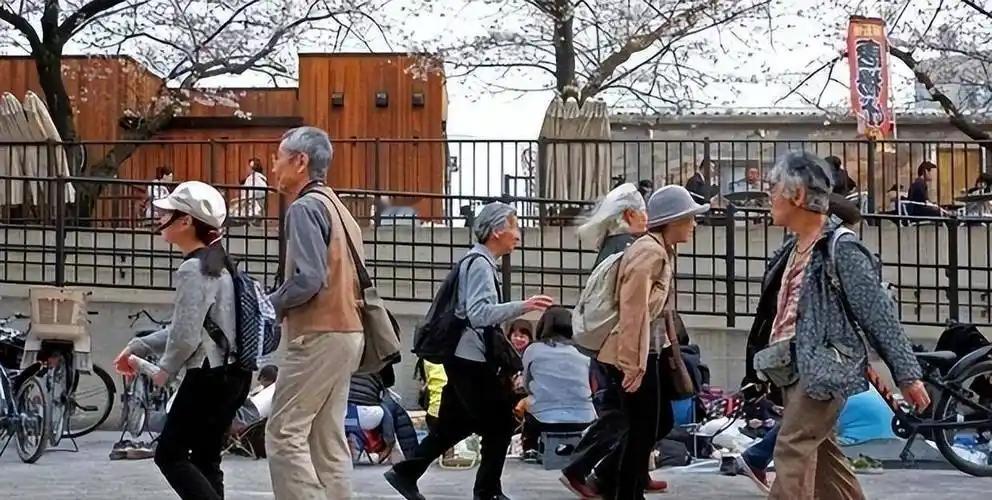说出来很多人不信，日本养老最先清零的，不是财政，不是床位，而是基层上门护理机构。