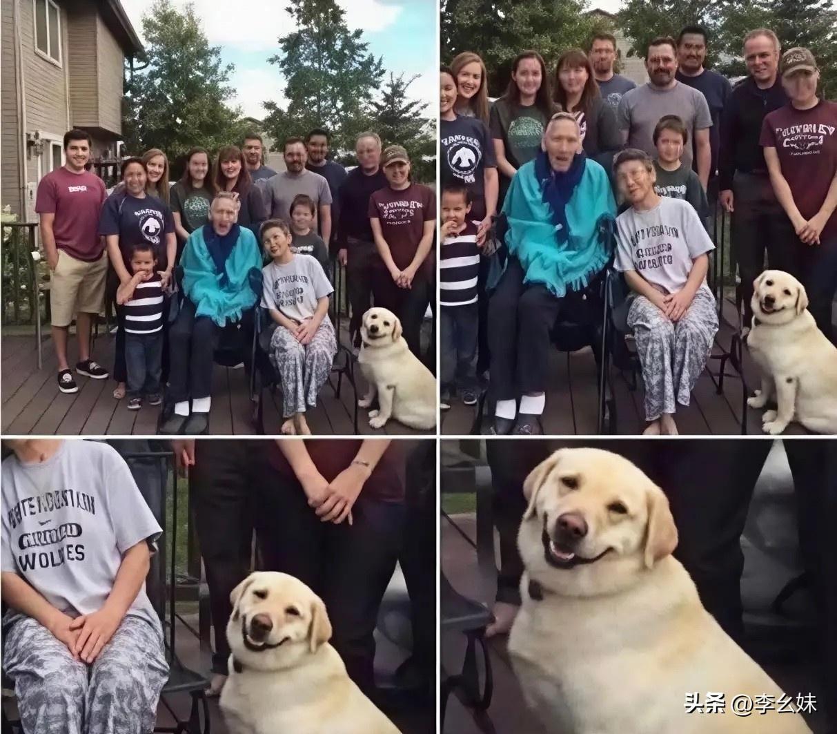 这狗子，比很多人还幸福！