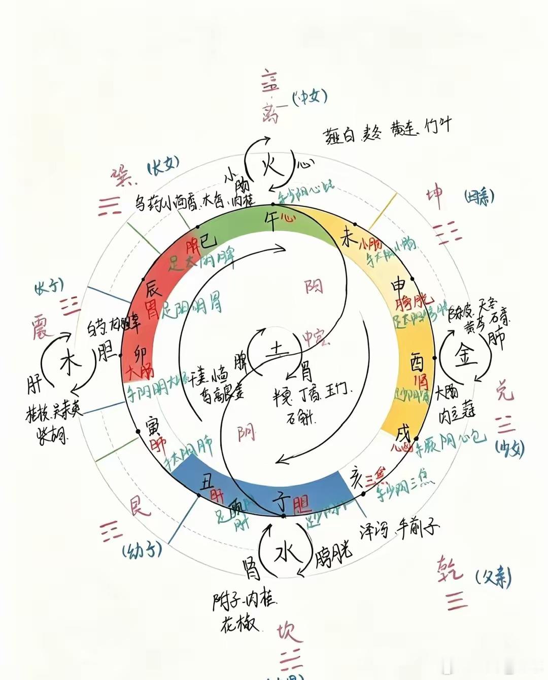 阴阳、五行、气机升降、子午流注经络…同出一脉最近画了一张图，融合阴阳、八卦、地支