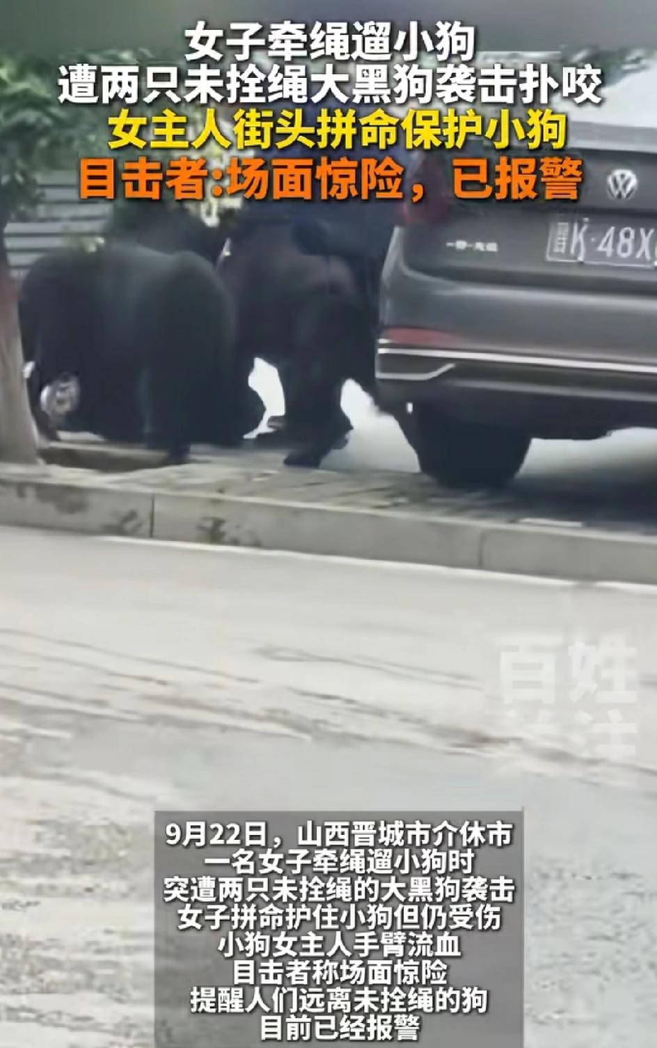 想不通为什么大型犬类出门不栓狗绳！

因为这样发生的悲剧还少吗？但是狗主人似乎并