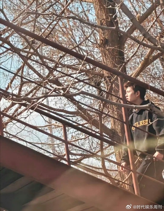 网友北京798偶遇任嘉伦北京798偶遇任嘉伦北京 798 偶遇任嘉伦，这是什么神