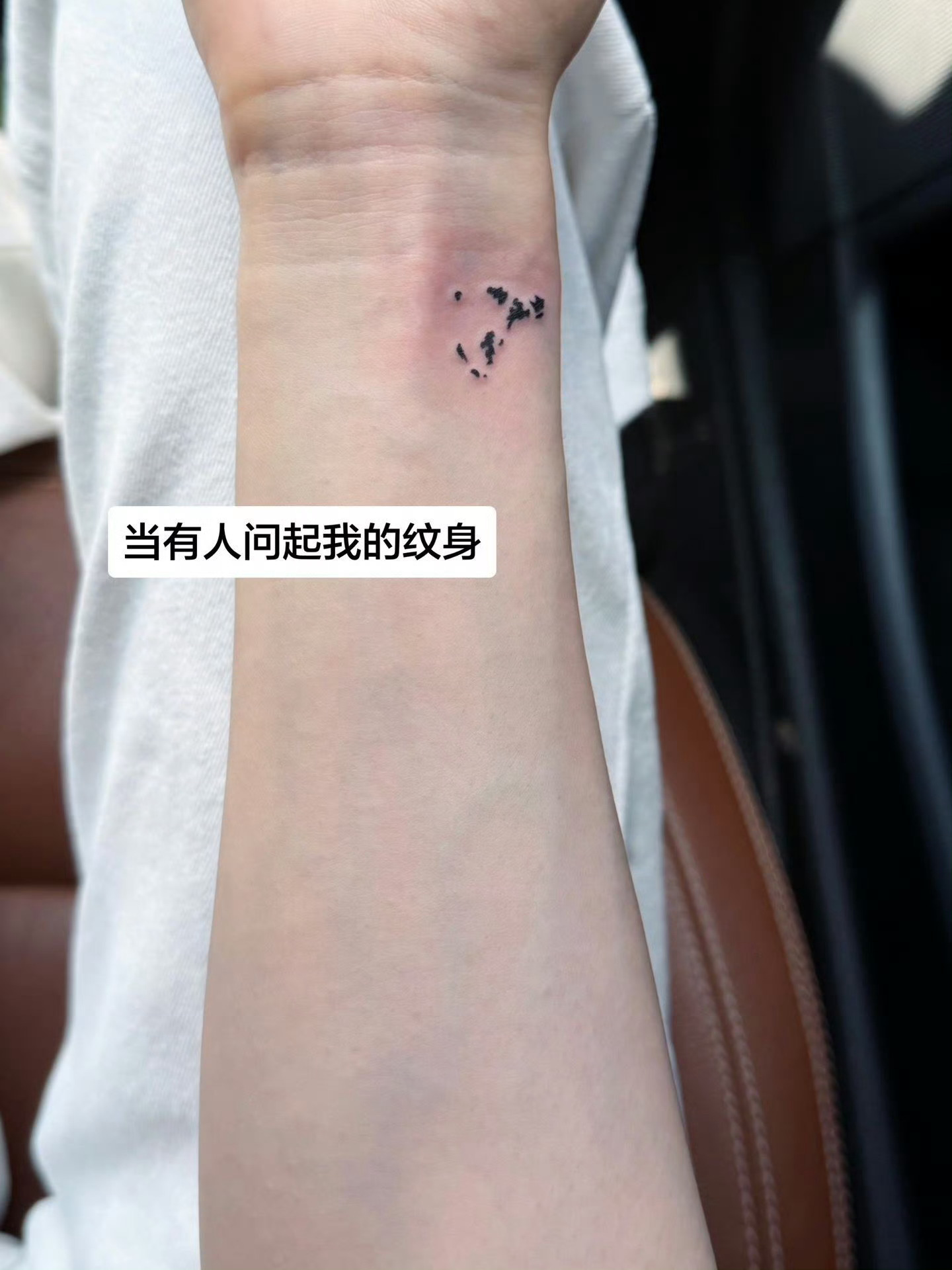 白鹿孟子义说今天穿长裤太开心了如果纹的是镜像，那么每次看到纹身都能想象到是小猫的
