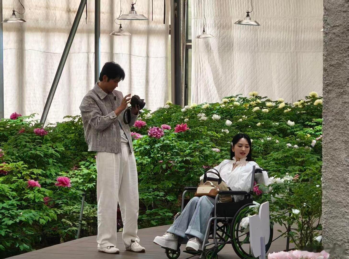 孙丞潇推坐轮椅的金莎我的天，这是怎么啦！金莎坐上轮椅了
