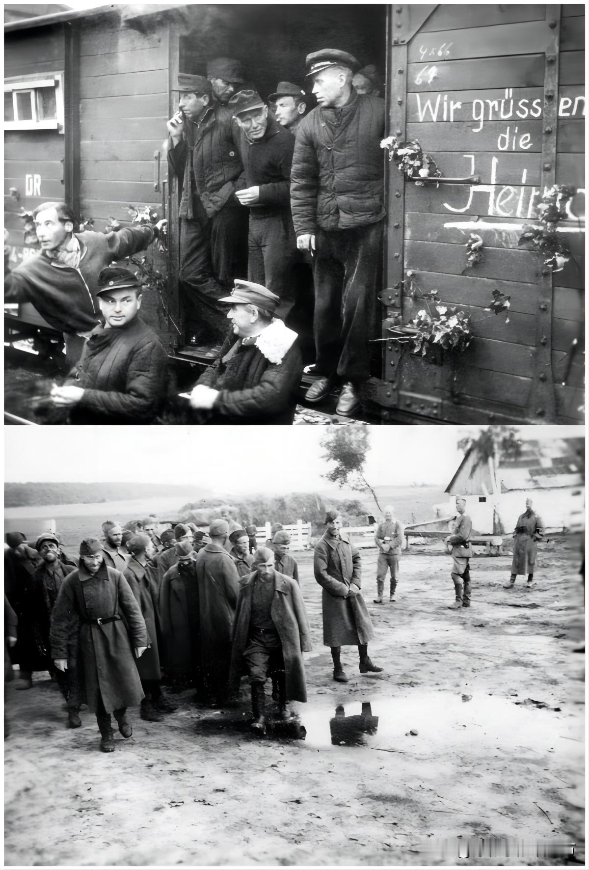 图上，1955年，东线的被俘德军被苏联陆续遣返，其中包括德国国防军、武装党卫军、