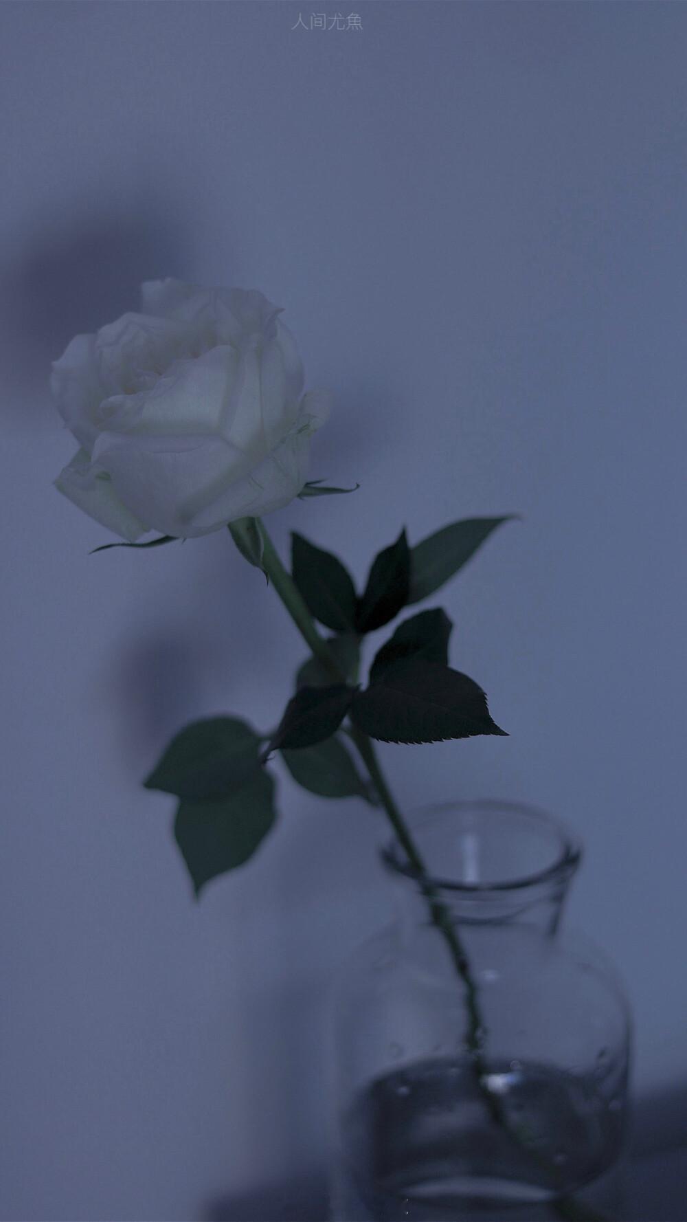 “我这一生唯愿我喜欢的姑娘，一生平安喜乐，无病无灾。”——蒋牧童《星火长明》#晚