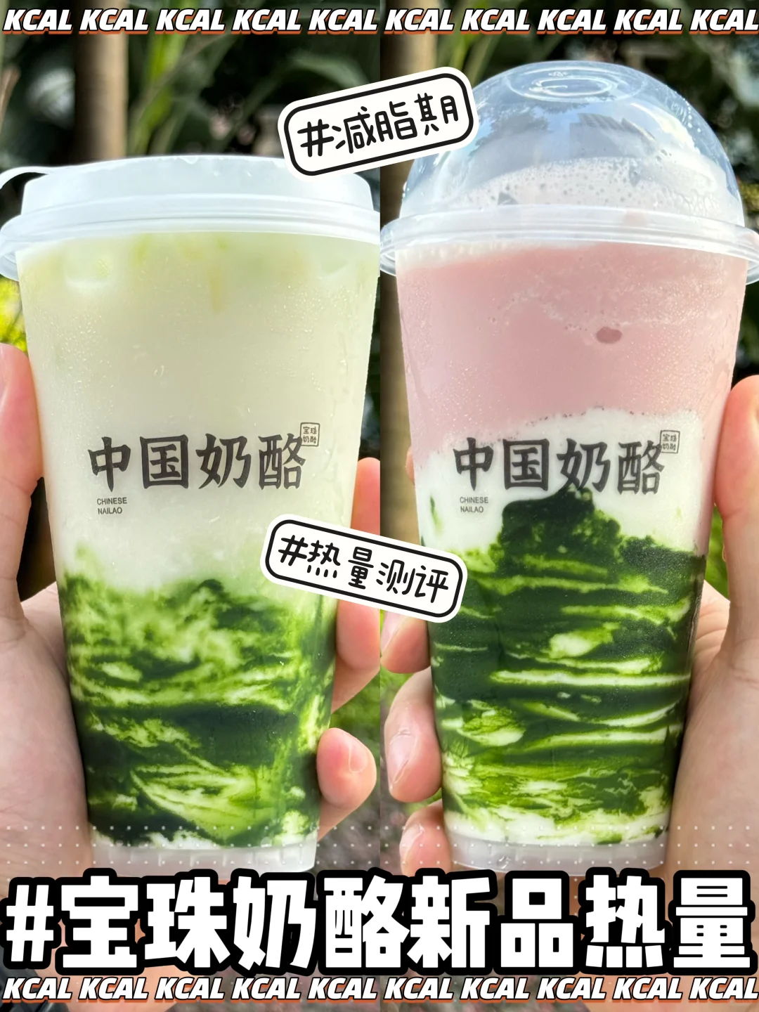 新品么么黑联名中式茶酪‼️宝珠奶酪热量测评