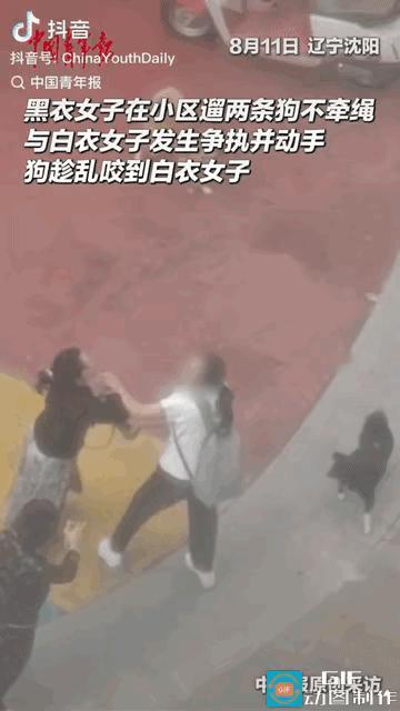 “太恶劣了！”辽宁沈阳，女子在小区遛两条狗不牵绳，一名过路的女子好心提醒她，不料