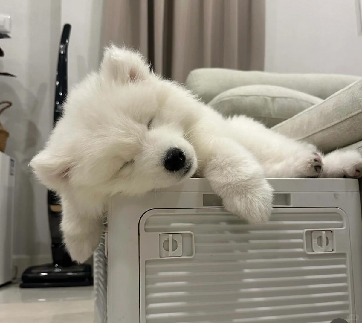 随时随地睡大觉，不用担心会掉下去