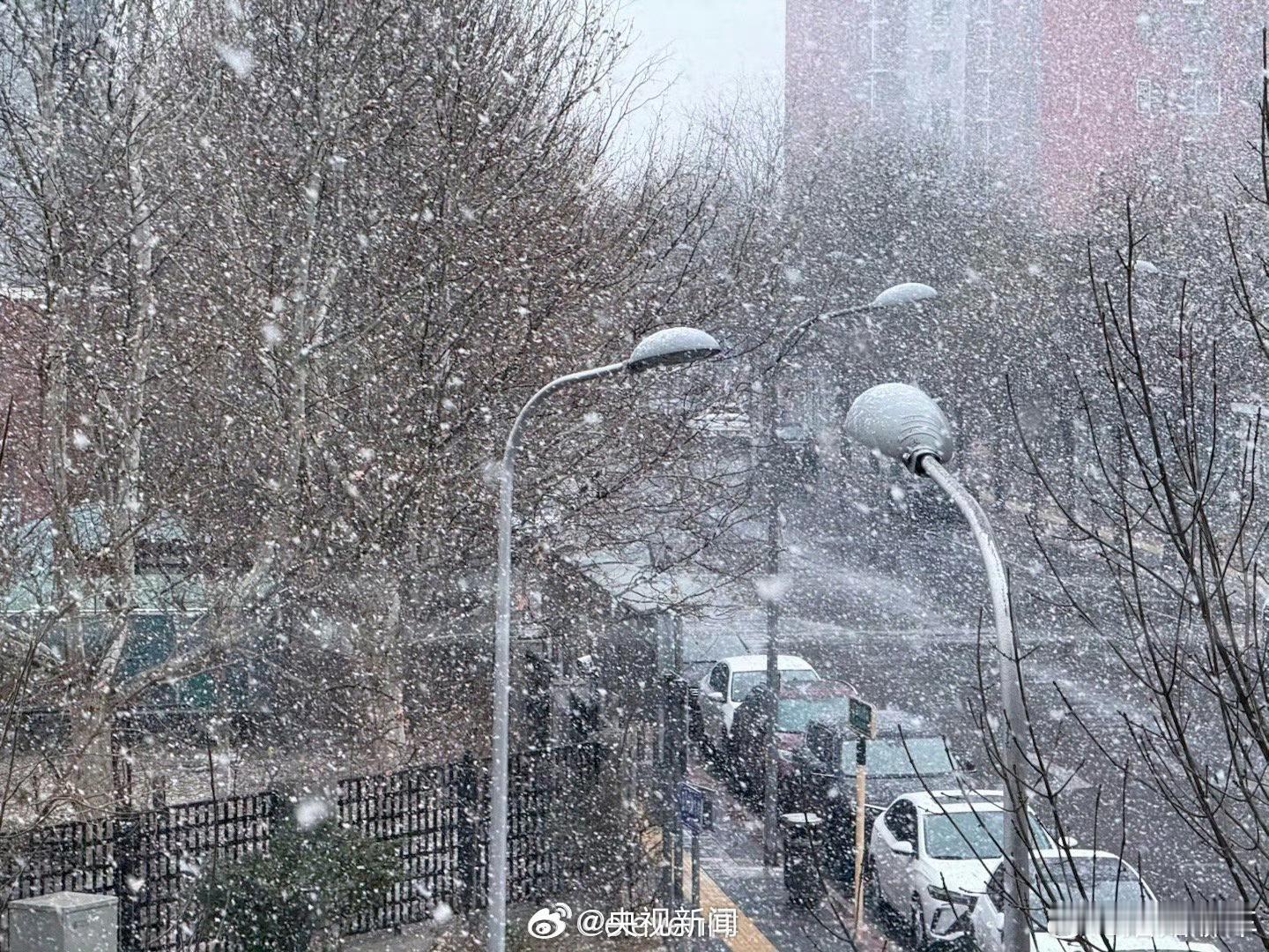 北京下雪今天北京、河北、山西、内蒙等多地阳春飞雪，除了欣赏雪景之外，蘑菇菌也提醒