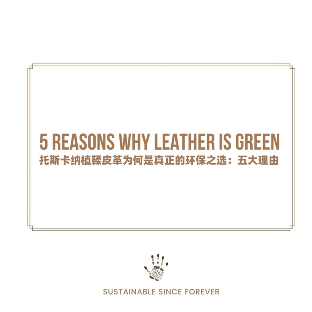 这五点让托斯卡纳植鞣皮革秒成“环保圈顶流”