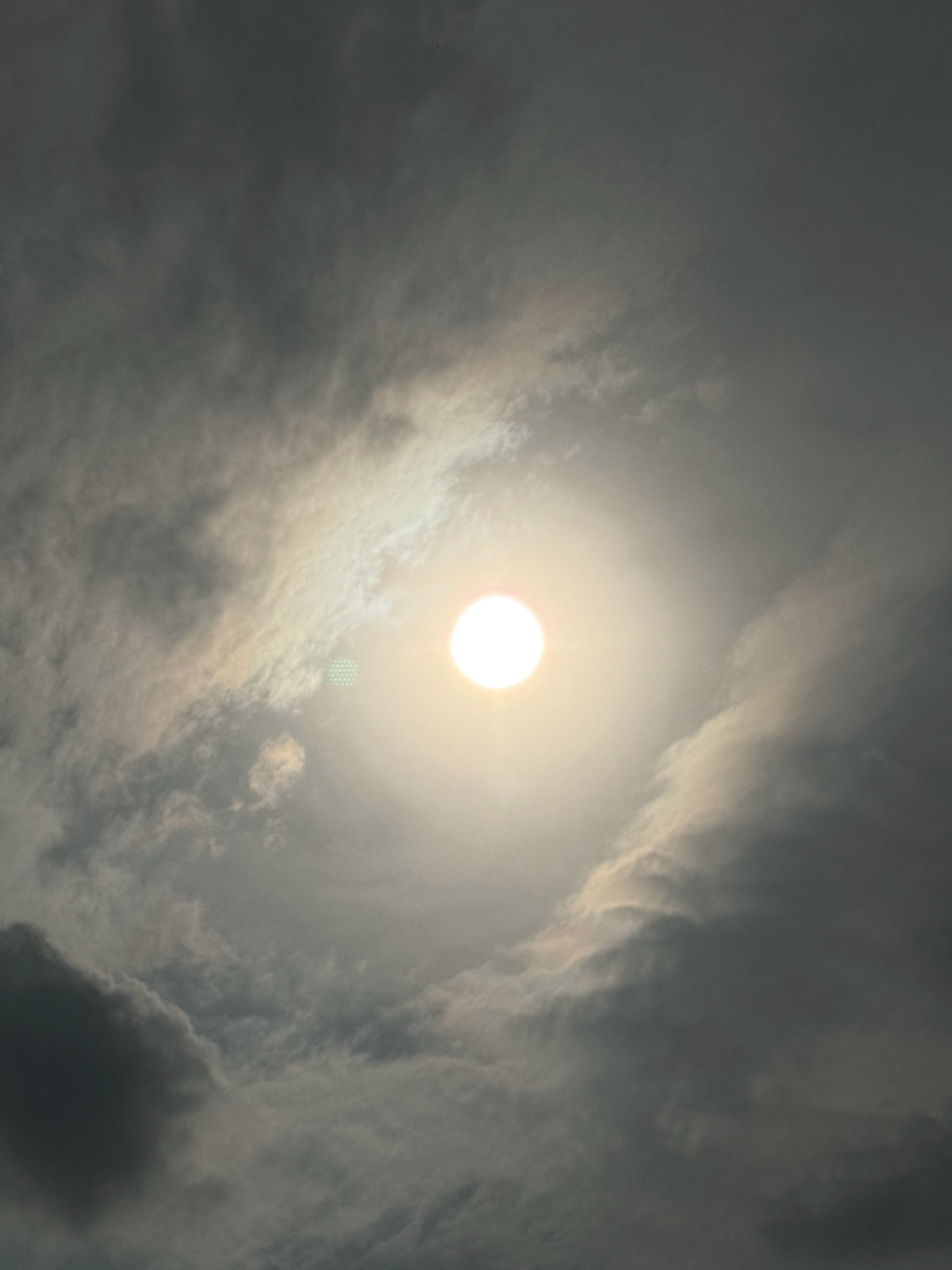 抬头看见了天空的眼睛👁️这大皮衣显得我很strong哈^›⩊‹^ ੭ ​​​