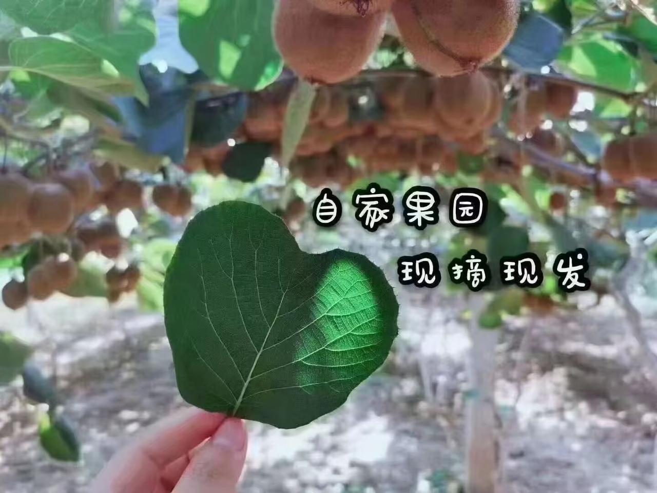 怎么养成个人兴趣爱好