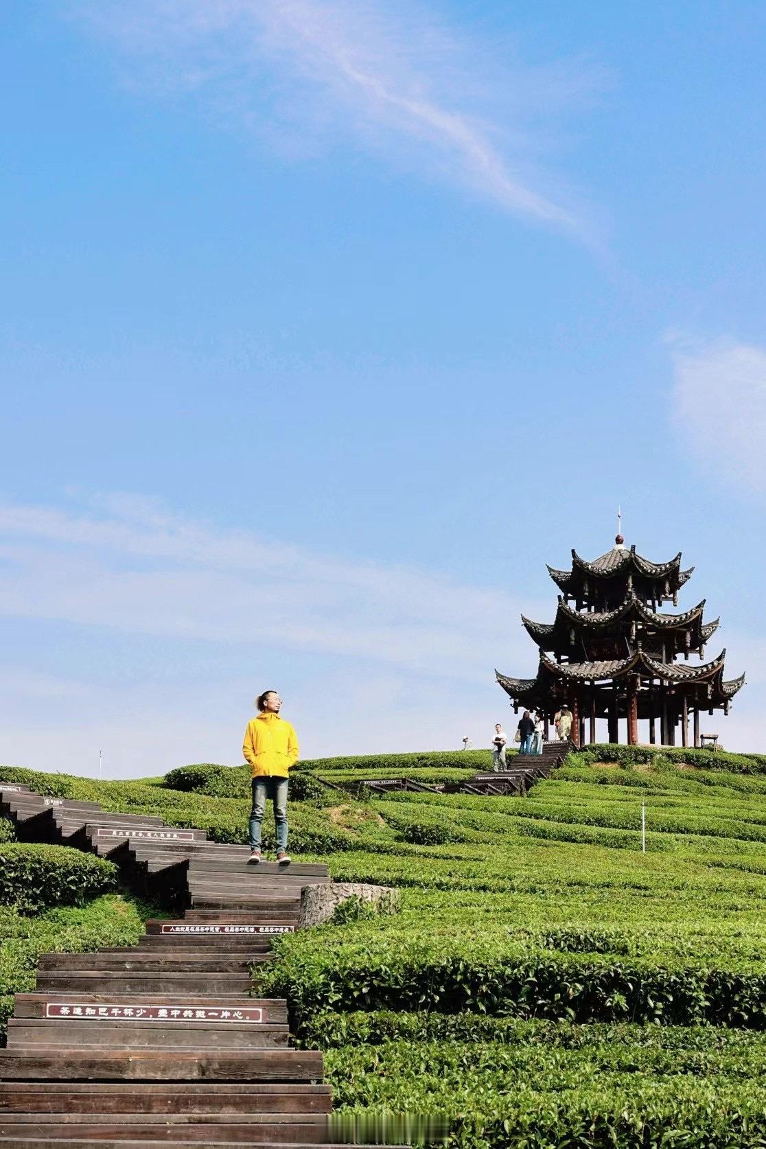 常年在旅行路上的我，背包里总会常备一些药品，应对不时之需，但有时候在外会有些水土