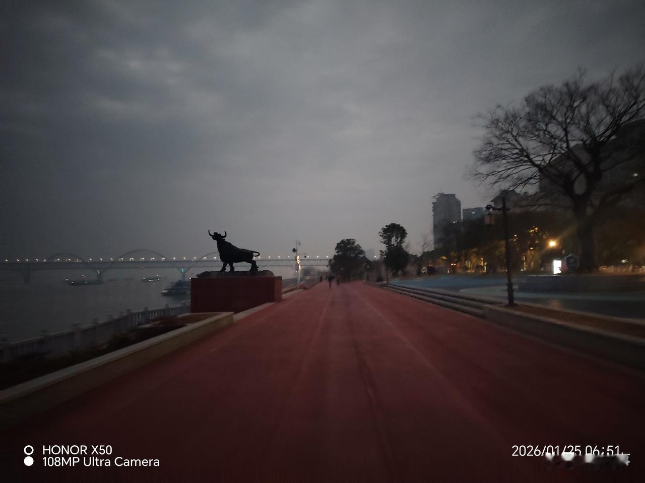 今年冬天的不同2026年1月25日长江岸边晨练打卡