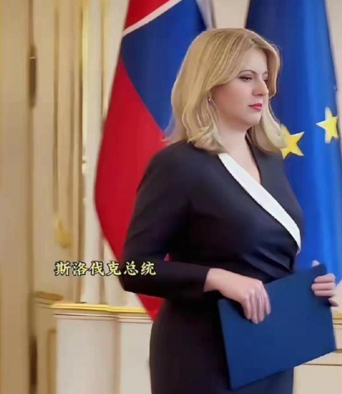 这应该是目前世界上最美的女总统了，恰普托娃身上没有政客的架子，素颜出镜，看着特别