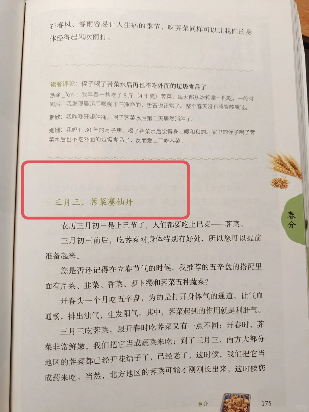 三月三，荠菜赛仙丹，荠菜你吃对了吗？🔥