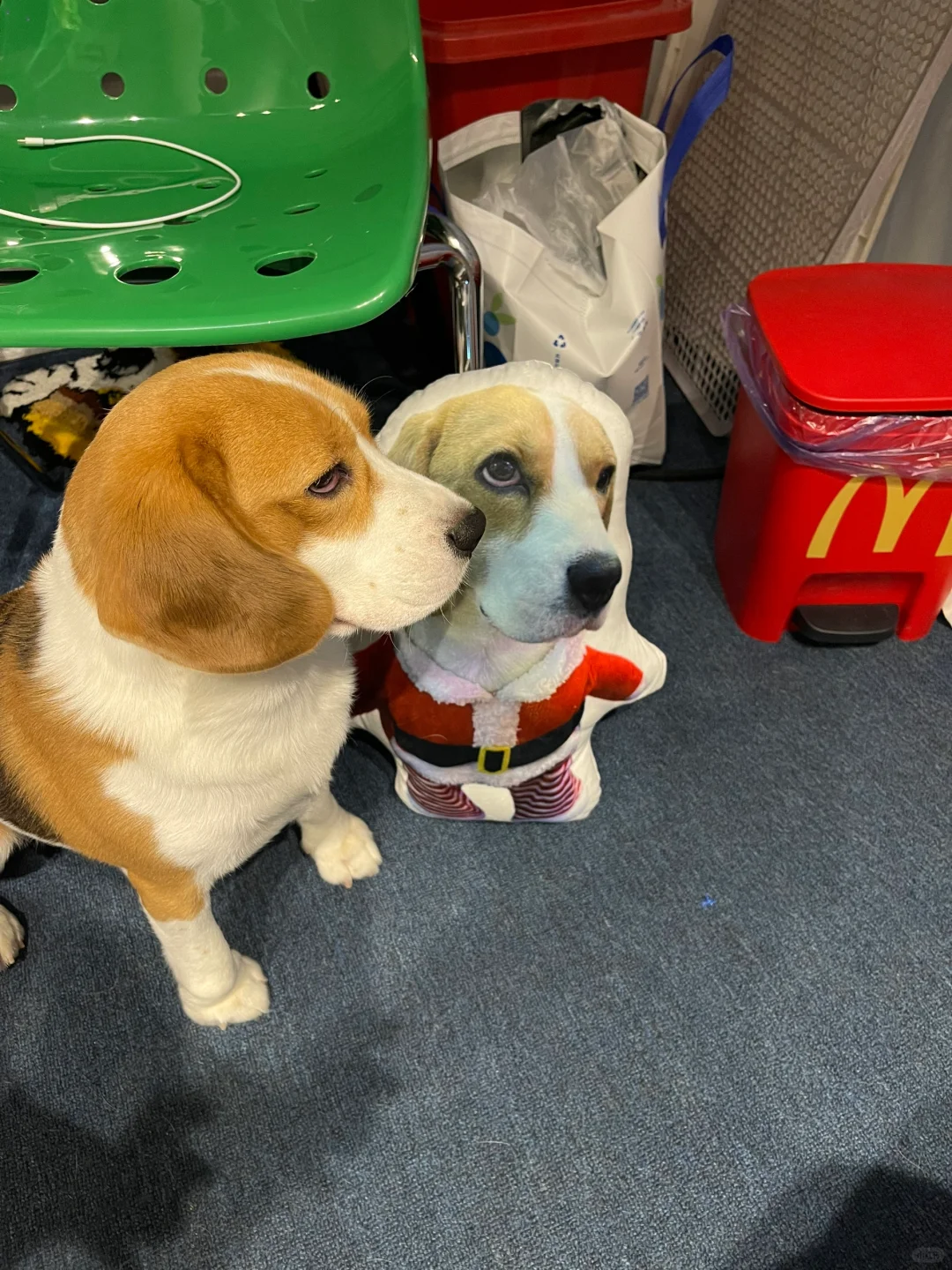 亲亲自己
