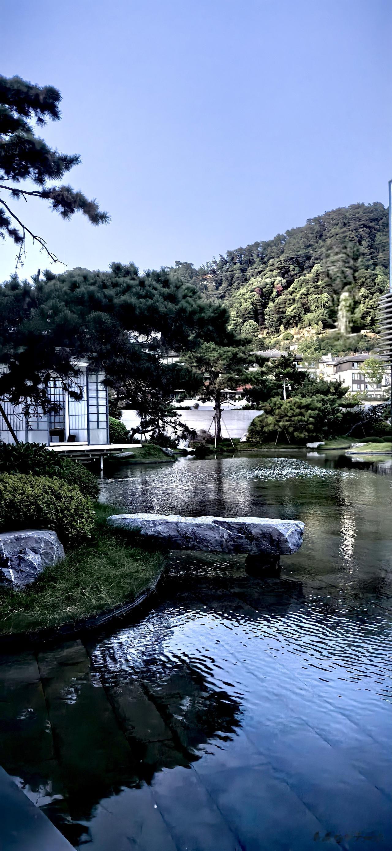 夏日随手拍