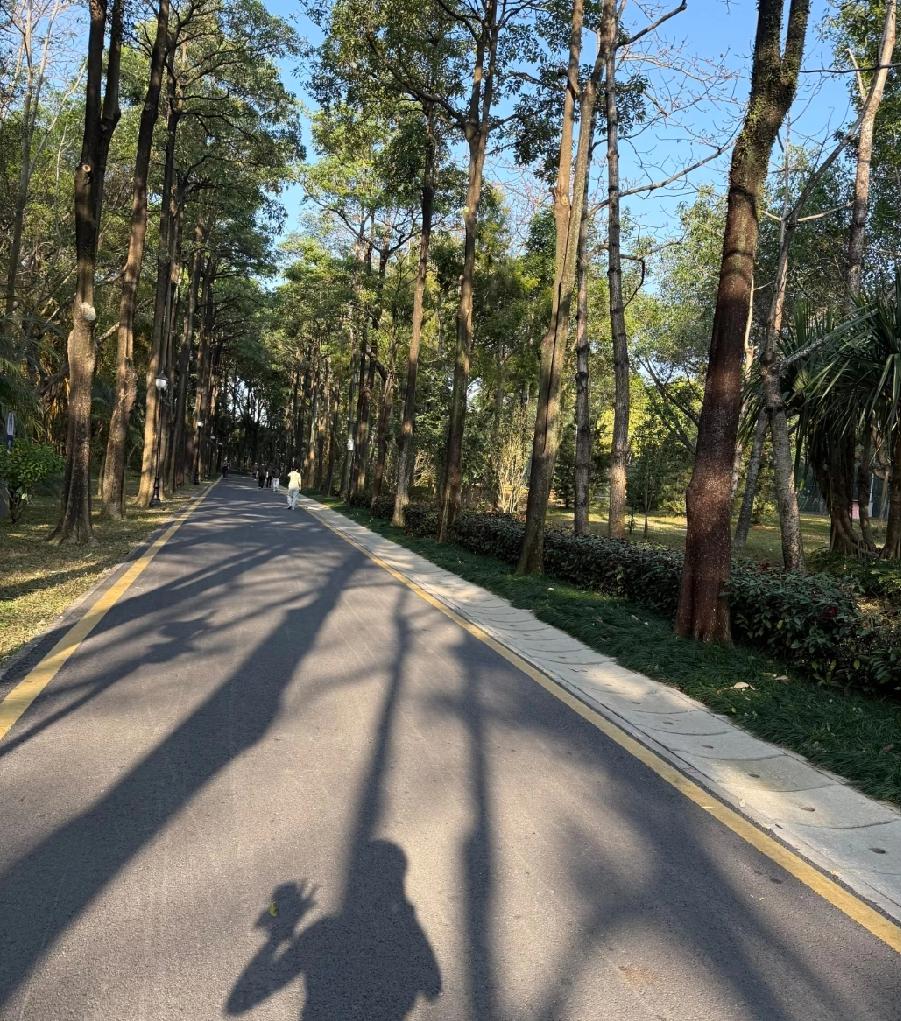 新手跑步，若不合理安排好跑步次数，很容易跑一段时间就会放弃了。
随着生活水平的提