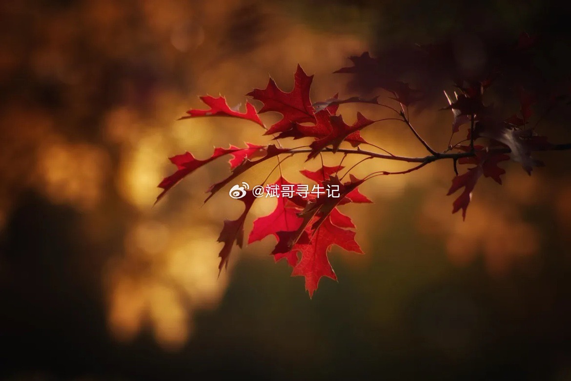 9月2日早间要闻一、个股公告东吴证券：收购东海证券83.68%股份申请获证监会受