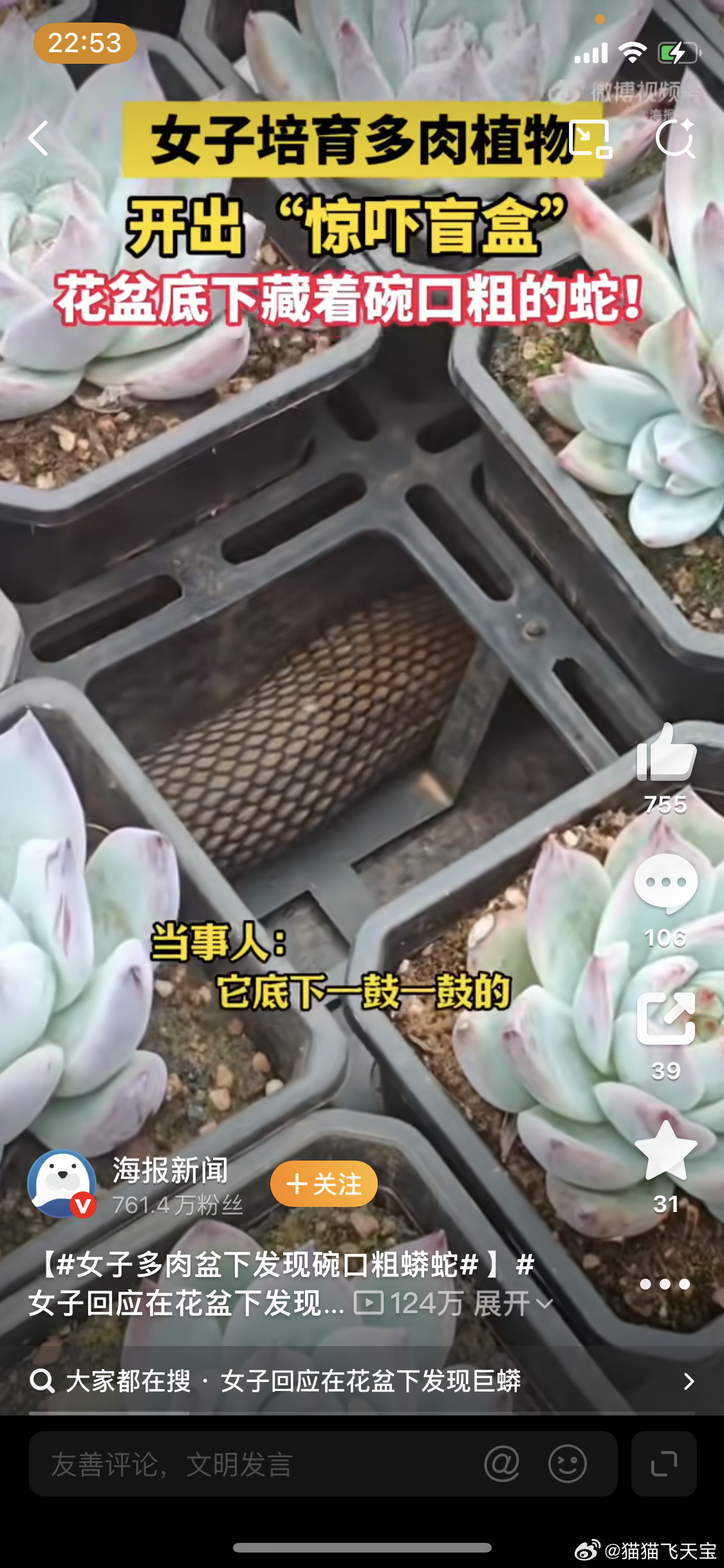 女子多肉盆下发现碗口粗蟒蛇这个新闻真的是吓到我了，主要是那个蟒蛇已经爬了那么久，