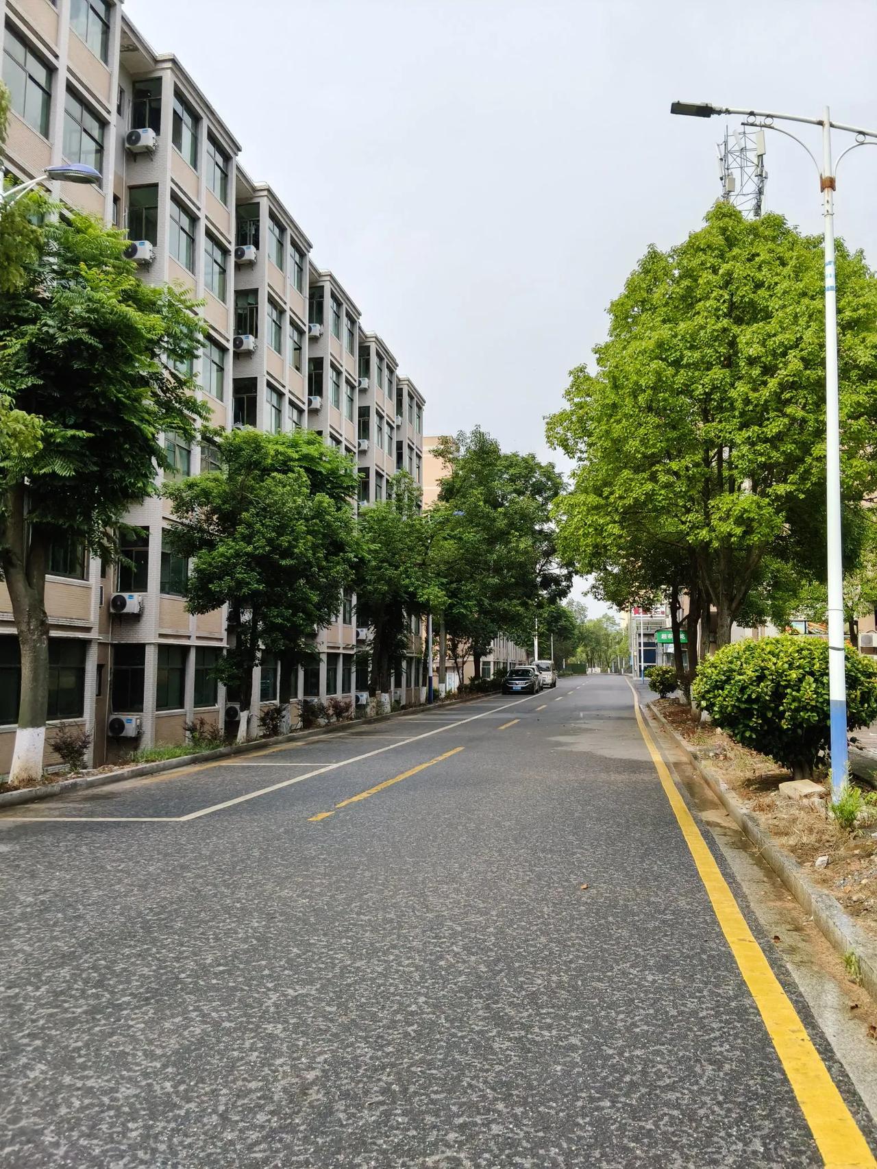 记录我的2025小区环境挺绿化搞得不错，也还配备了晾衣杆每天都洗一些衣服晾出去，