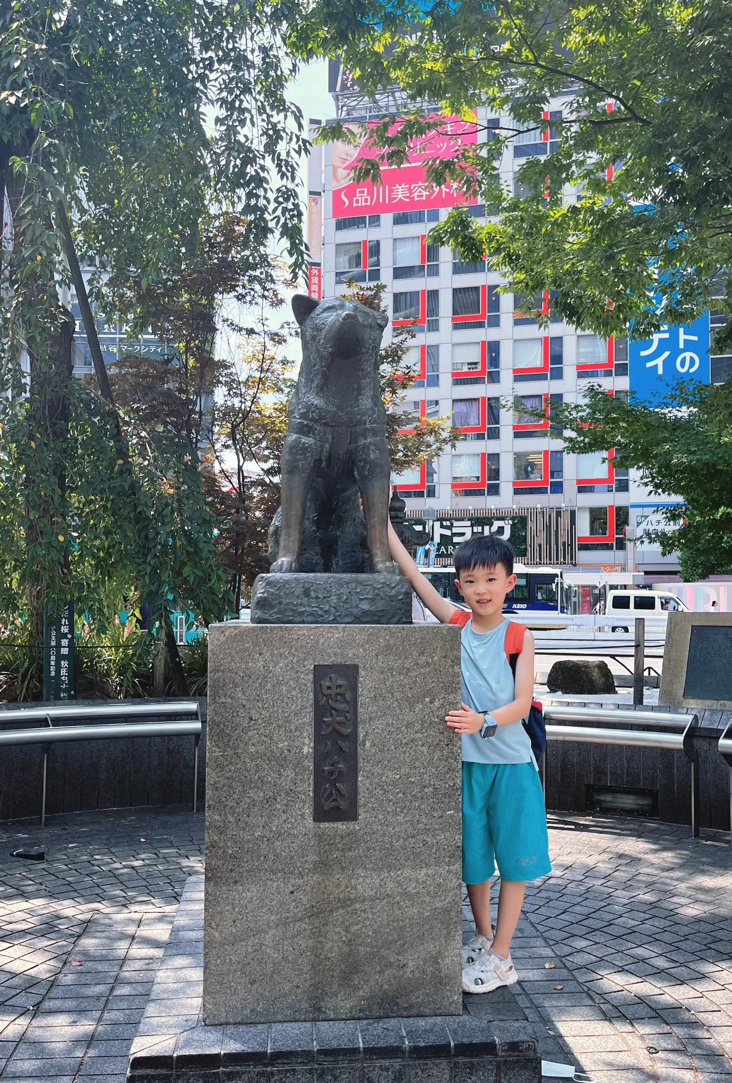 用自己的一生去等待一个永远不可能再归来的人… 今天带睿睿来见见这只可爱的狗狗