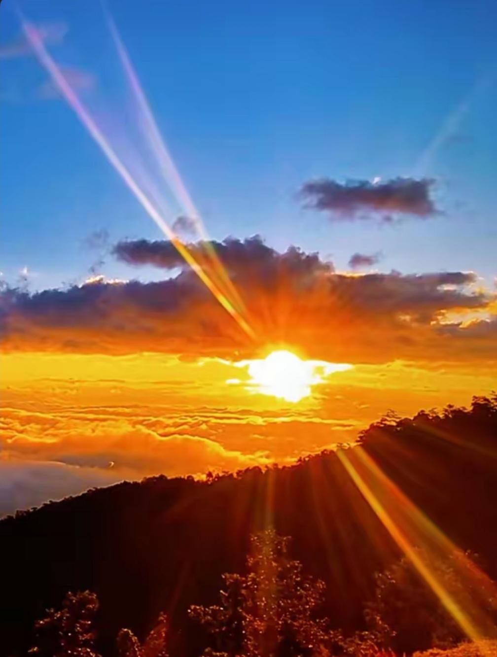 分享一张最近随手拍的照片