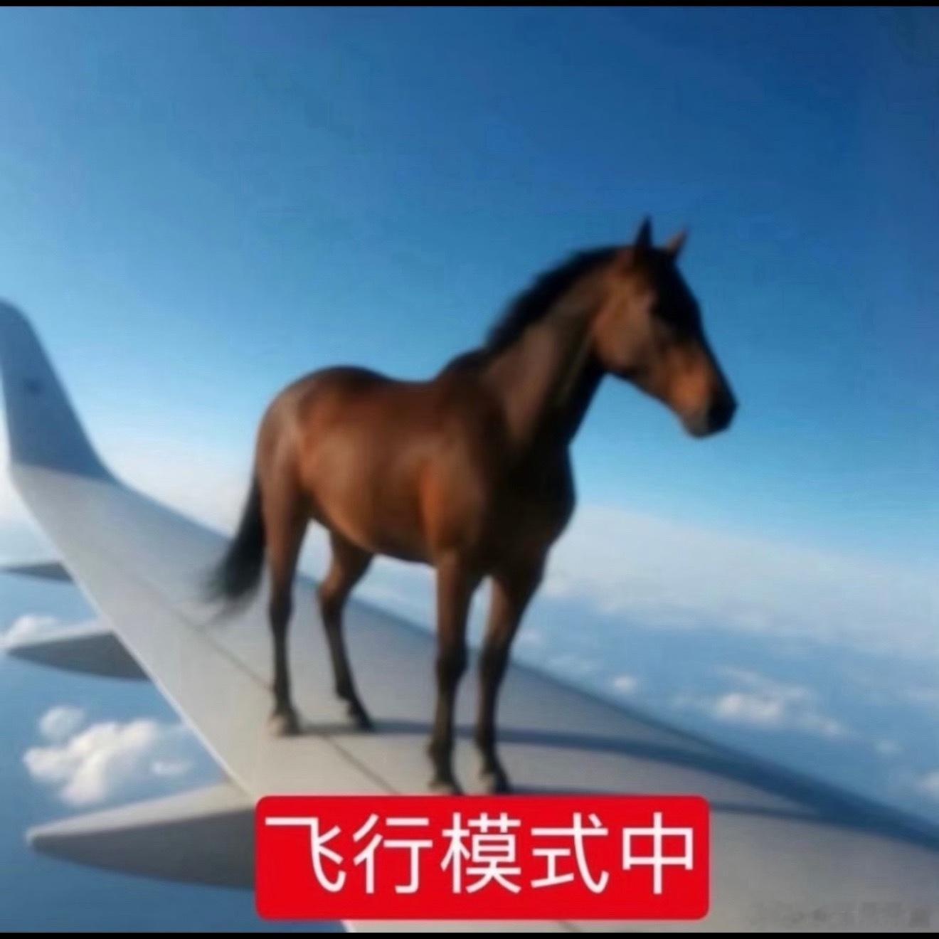 好久没骂6t了 感觉跟时代少年团6位小哥哥都生疏了 