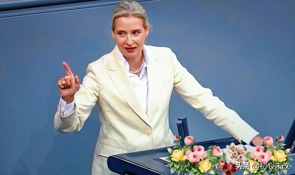 德国选择党联合主席魏德尔表示，欧洲必须承认这样一个现实，如果没有俄罗斯的参与，欧