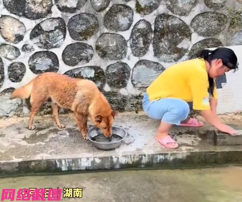 湖南有女子在一处河边专心磨刀，只为准备处理身后不锈钢盆的一条鲜鱼，这一幕被家里的
