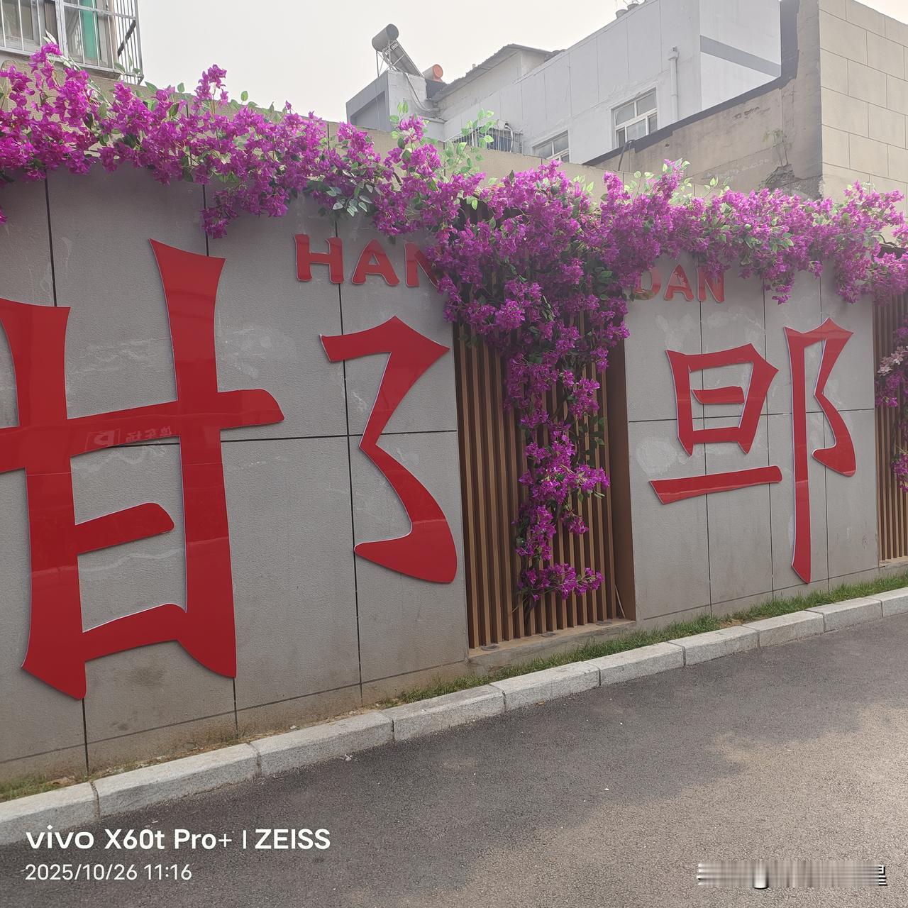 近日，我前往邯郸道游玩，目睹一种现象，着实令人费解。
我从邯郸道黄金楼东边的一条