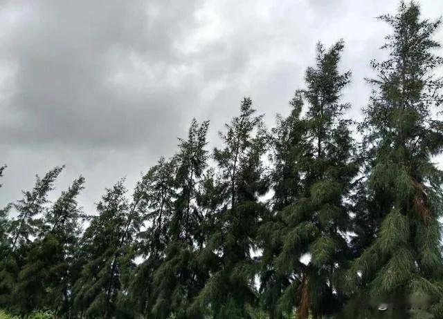唉，还是分了。
 
说真的，他对我是真好，好到我有时候看着他就想哭。我们俩在一起